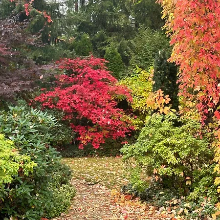 Luxury Indoor Pool Warsaw * Magdalenka