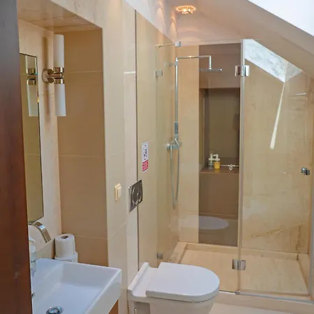 Luxury Indoor Pool Warsaw Villa